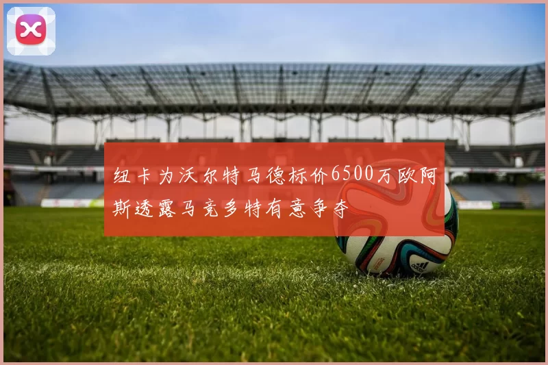 纽卡为沃尔特马德标价6500万欧阿斯透露马竞多特有意争夺