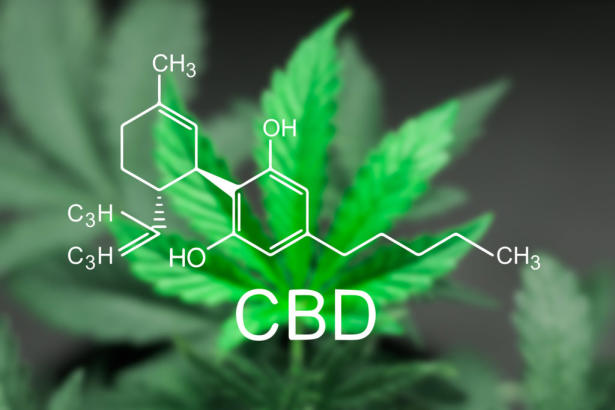 CBD vitalisiert das Endocannabinoid System