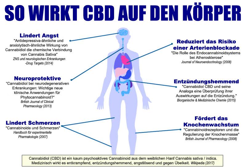 Cbd Anwendungsgebiete Die Anwendungsbereiche Für Cbd Öl